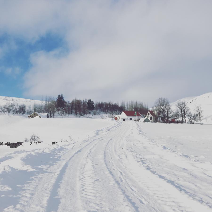 Dalshofdi Guesthouse Экстерьер фото